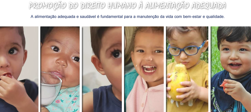 Promoção do direito humano à alimentação adequada